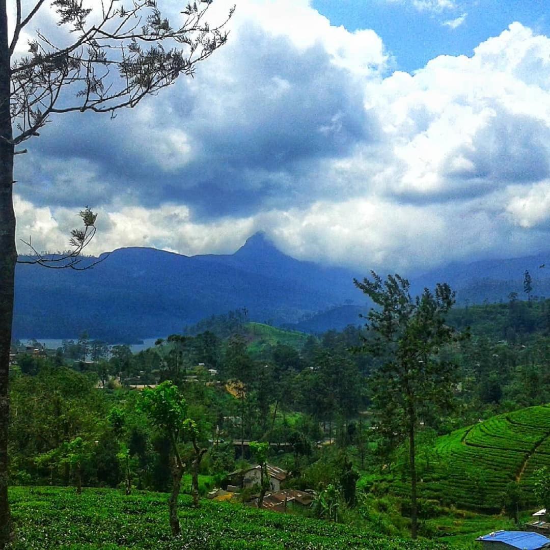 Homestay Daffodils Nallathanniya